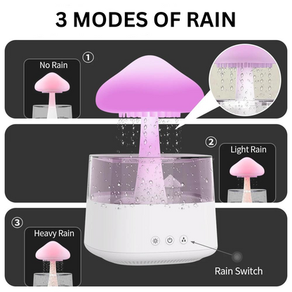 Rain-Pro Humidifier