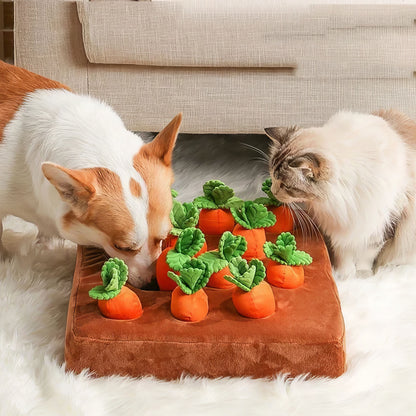 Carrot Bed For Pets