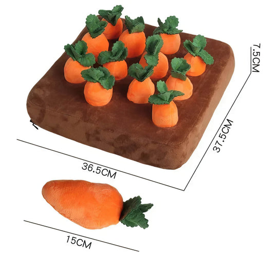 Carrot Bed For Pets